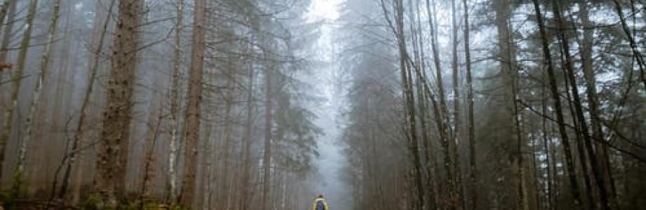 il trekking e i benefici sulla salute