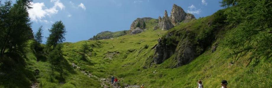 Passeggiare all'aria aperta aiuta a pensare